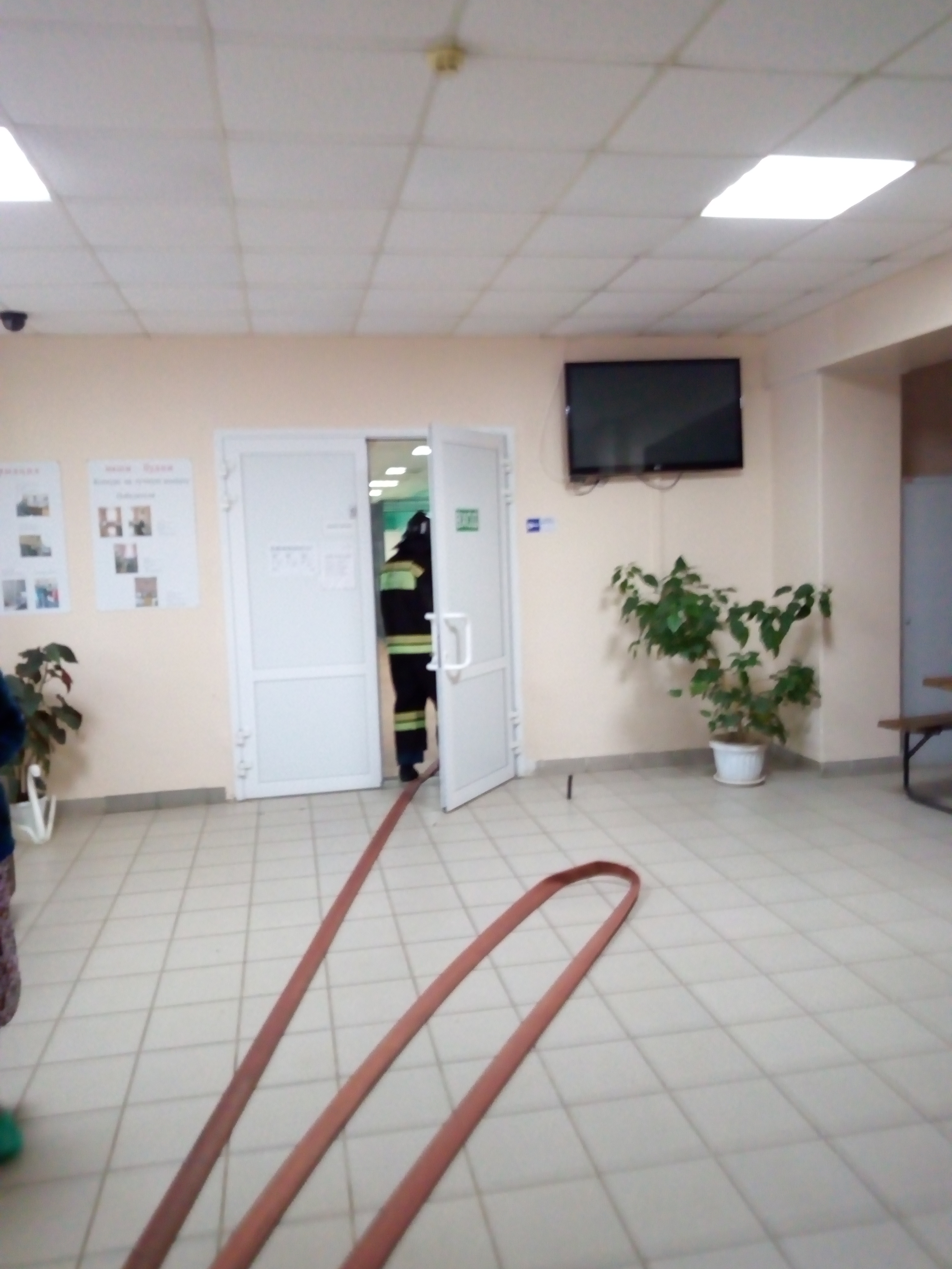 IMG_20191024_141236.jpg
