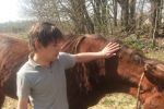 Подробнее: Анималотерапия: общение с животными, как лекарство.