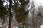 Подробнее: Пожарная тренировка 28.02.2019