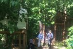 Подробнее: Приют 