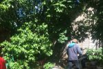 Подробнее: Приют 