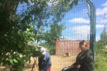 Подробнее: Приют 