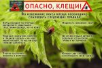 Подробнее: О Всероссийской горячей линии по профилактике клещевого энцефалита и инфекций, передающихся клещами