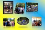 Подробнее: Уведомление по посещениям!